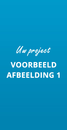 Project voorbeeld afbeelding